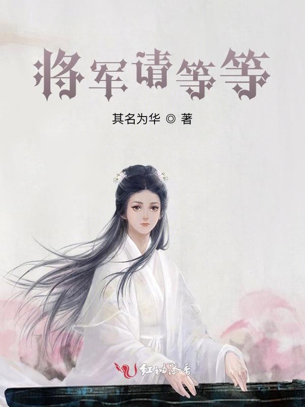 将军请等等