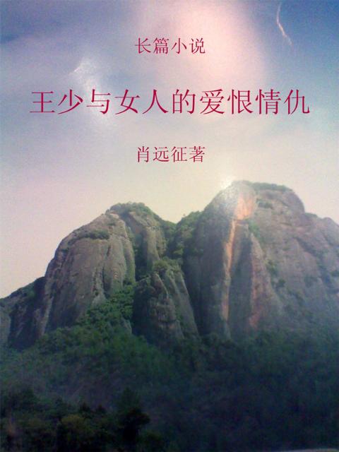 王少与女人的爱恨情仇