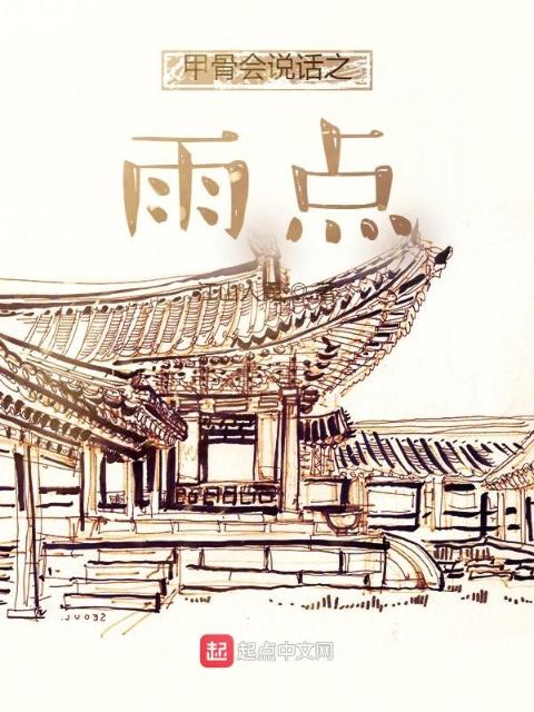 甲骨会说话之雨点
