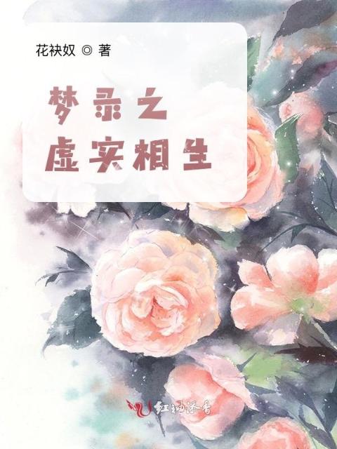 梦录之虚实相生