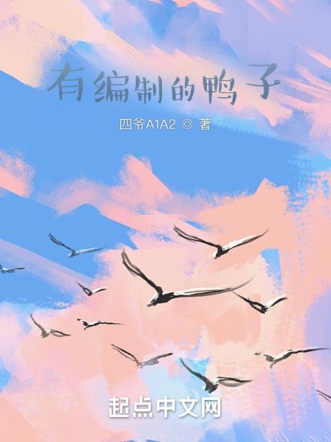 有编制的鸭子