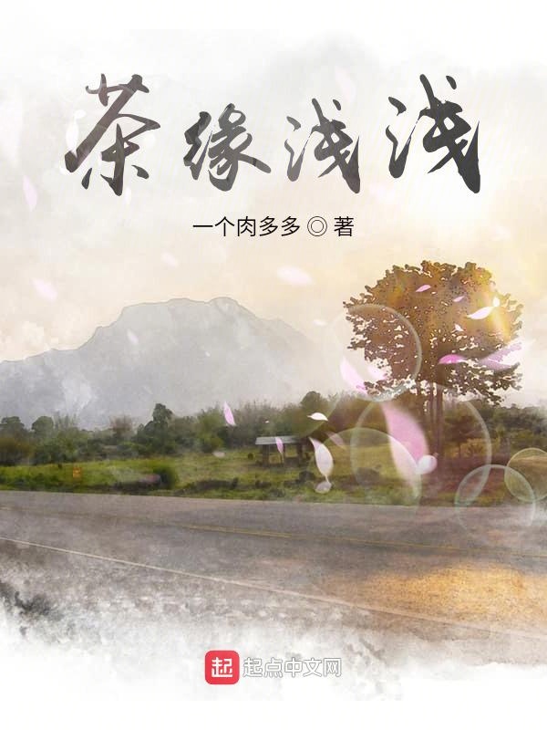 茶缘浅浅