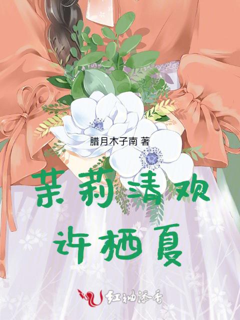 茉莉清欢许栖夏