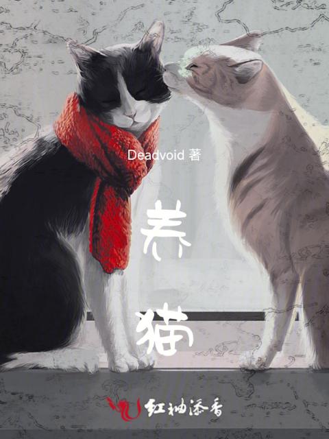 暖猫
