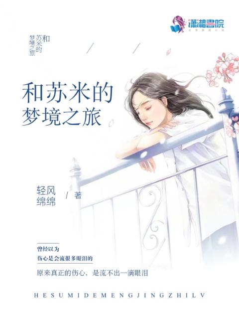 和苏米的梦境之旅