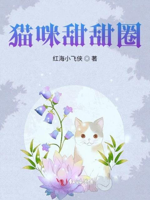 猫咪甜甜圈