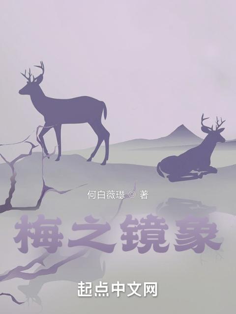 梅之镜象