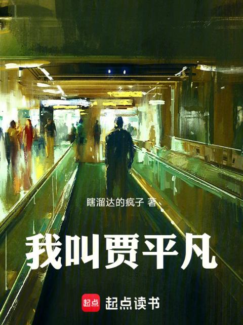 我叫贾平凡