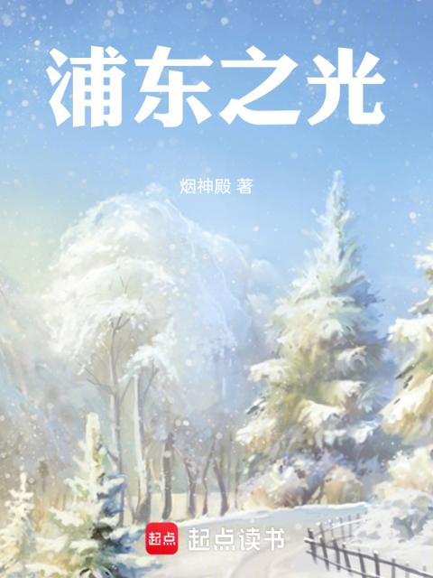 浦东之光