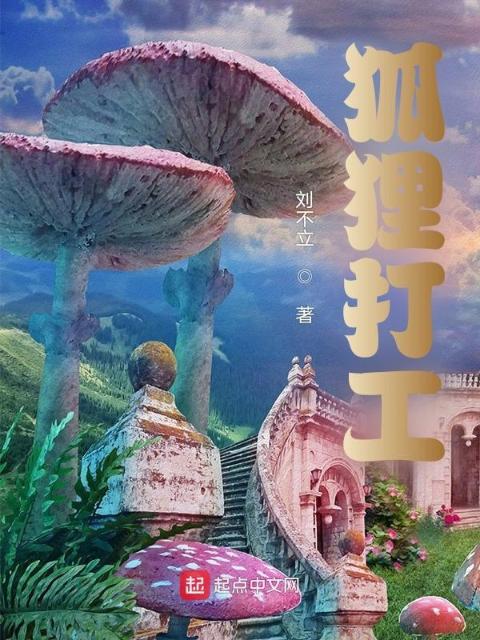 狐狸打工
