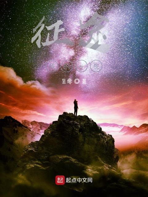 征途：我的一生