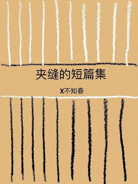 夹缝的短篇集
