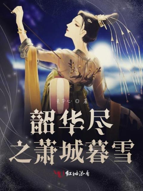 韶华尽之萧城暮雪