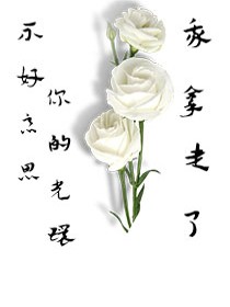 不好意思，你的光环我拿走了