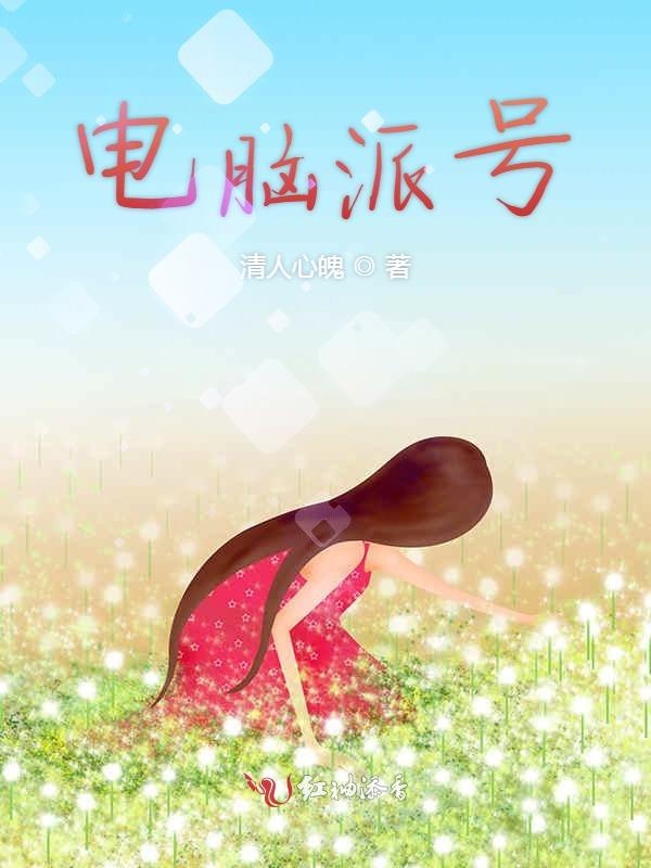 电脑派号