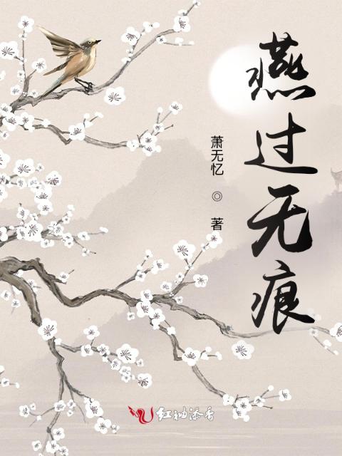 燕过无痕