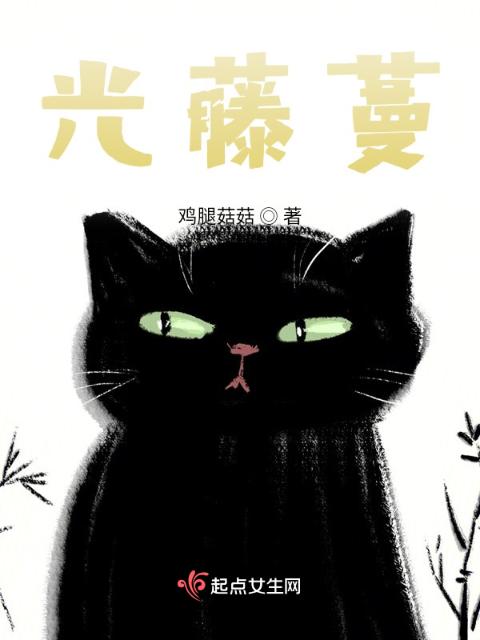 欲乱小说