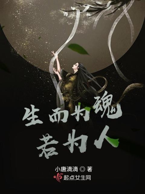 生而为魂，若为人