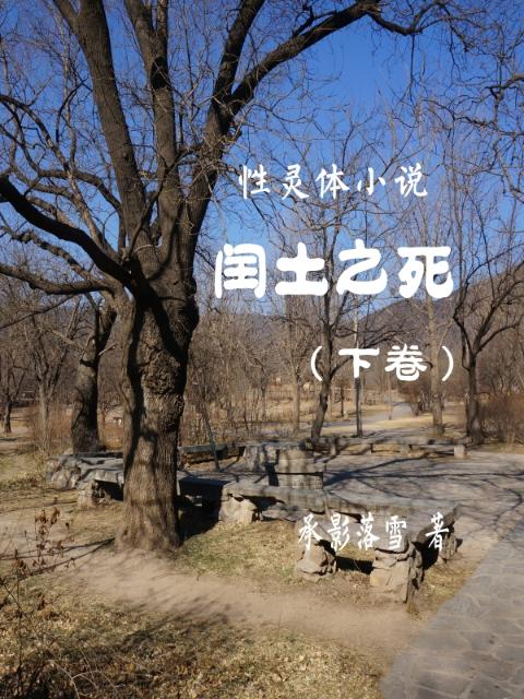 性灵体小说：闰土之死下卷