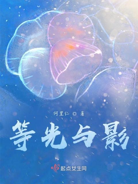 等光与影