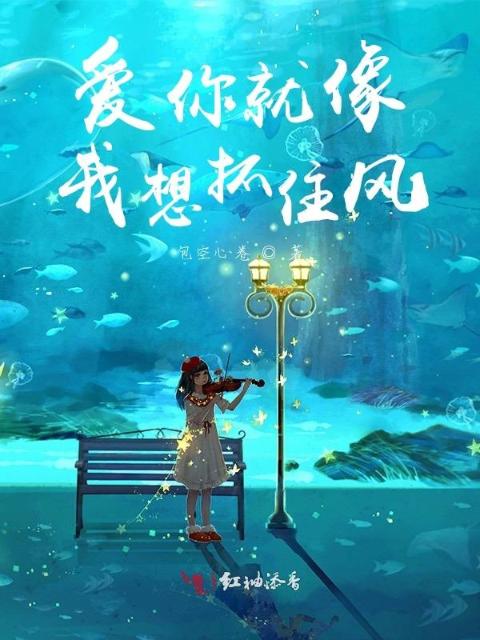 爱你就像我想抓住风