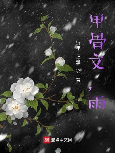甲骨文，雨