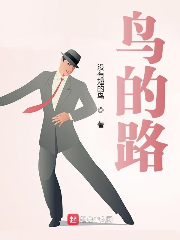 鸟的路
