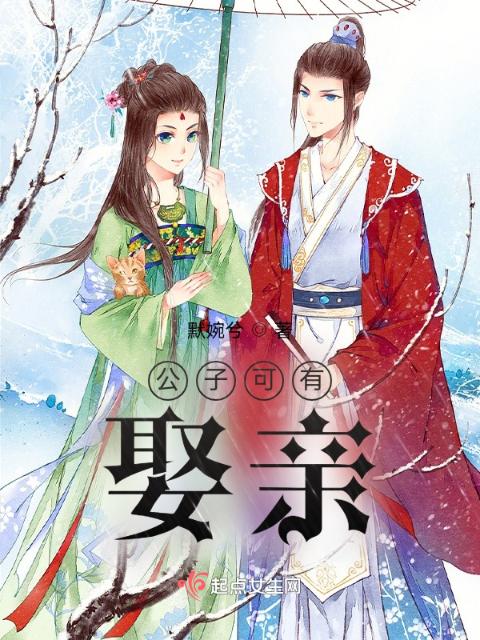 公子可有娶亲？