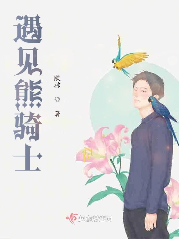 遇见熊骑士