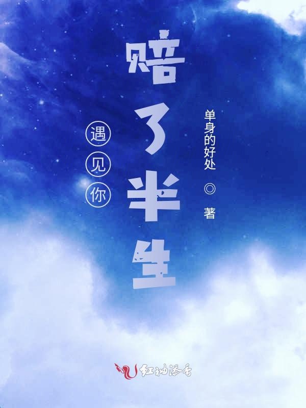 遇见你，赔了半生