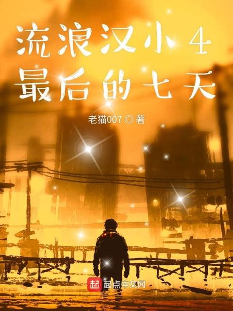 流浪汉小4最后的七天