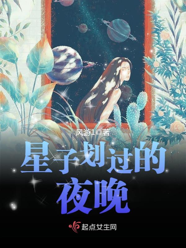 星子划过的夜晚