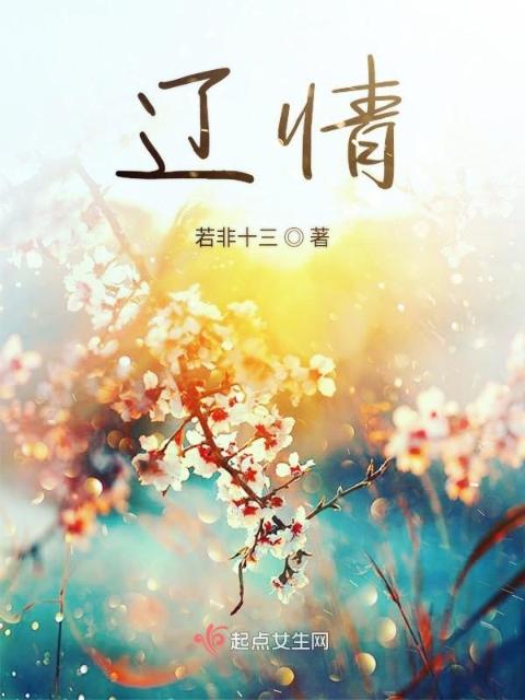 辽情
