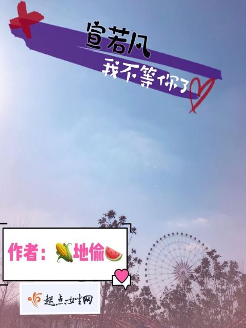 宣若凡，我不等你了