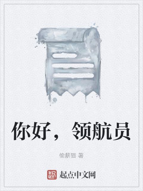 你好，领航员