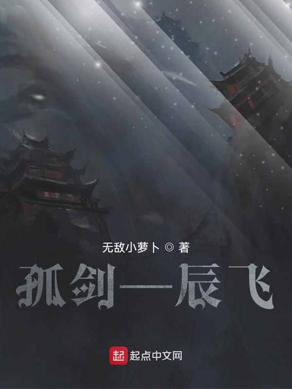 孤剑：辰飞