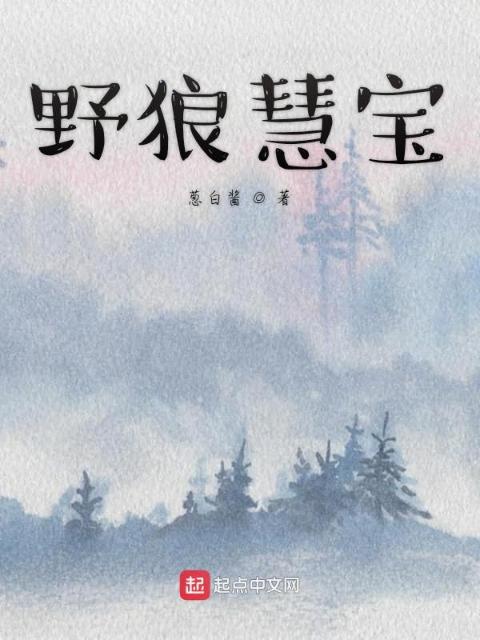 野狼慧宝