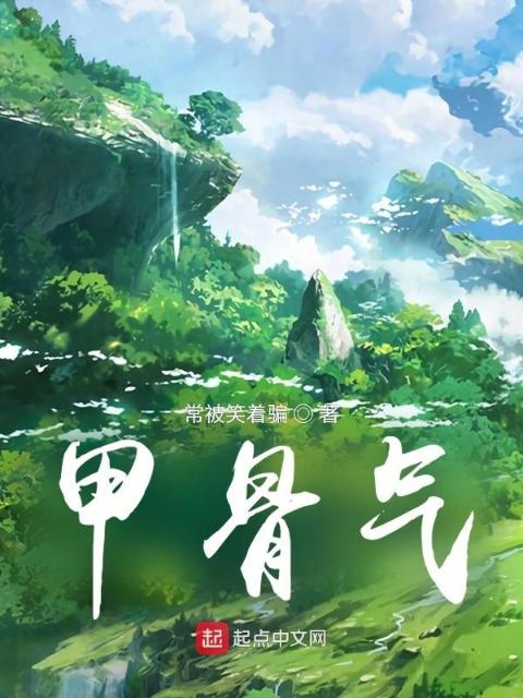 甲骨气