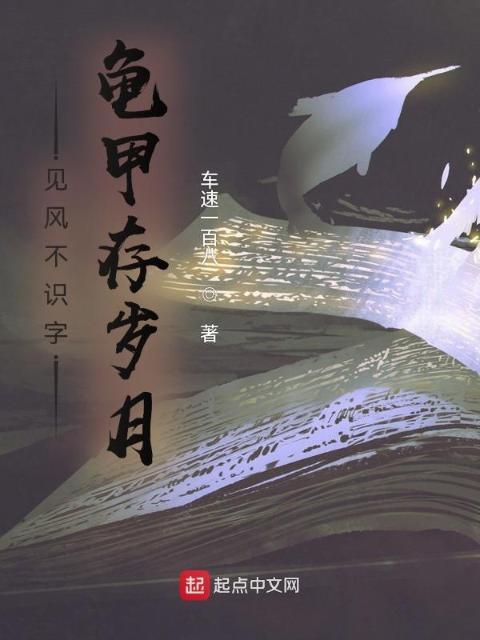 见风不识字，龟甲存岁月