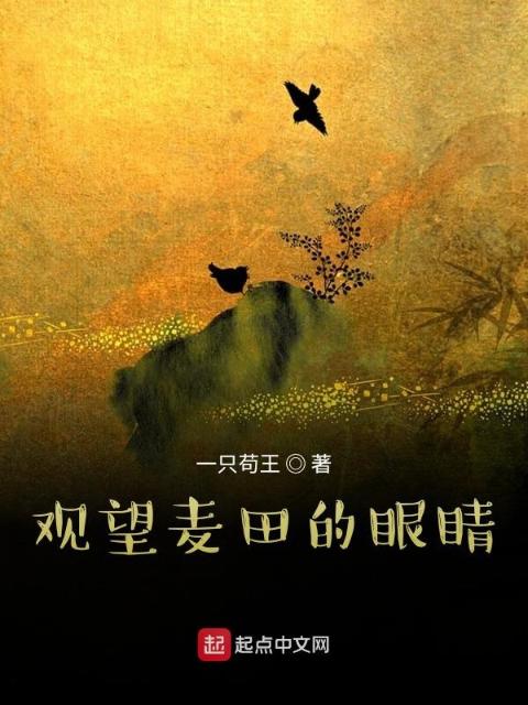 观望麦田的眼睛