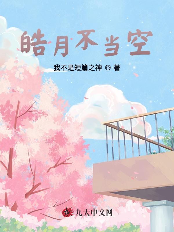 皓月不当空