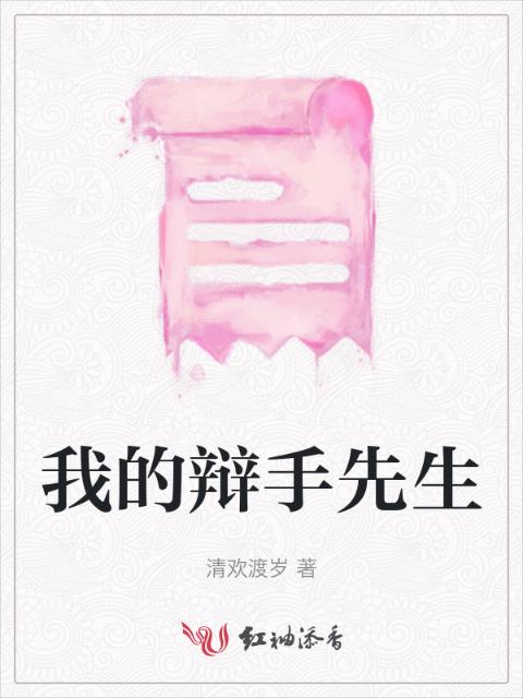 我的辩手先生