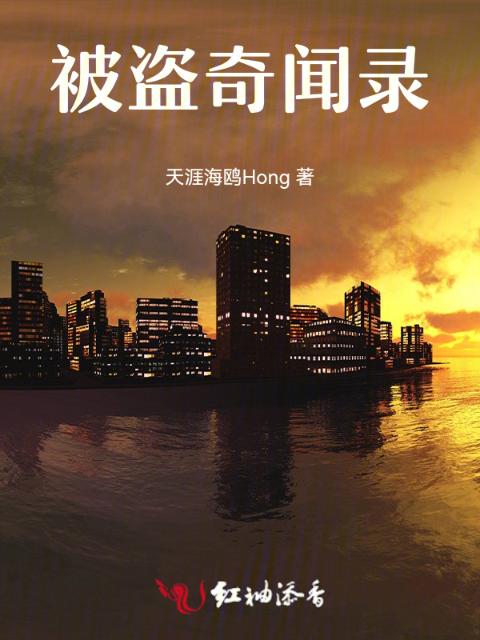 被盗奇闻录