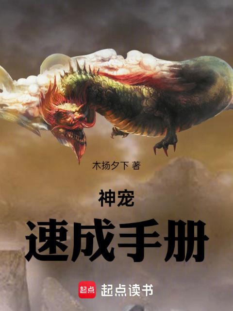 神宠速成手册