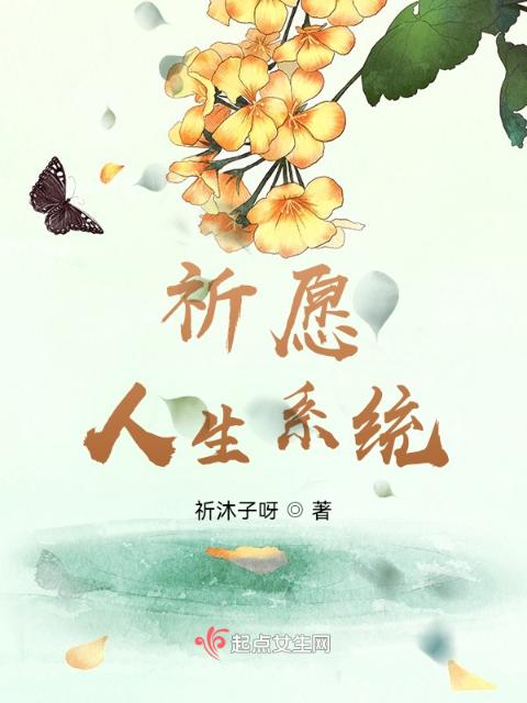 祈愿人生系统