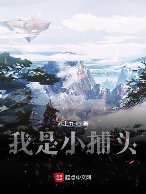 我是小捕头