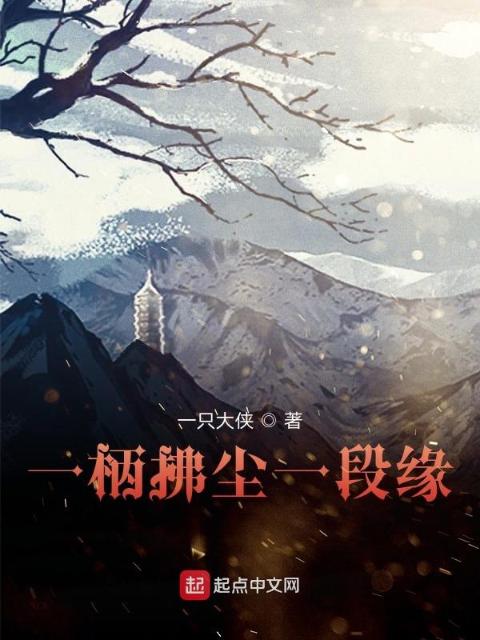 一柄拂尘一段缘