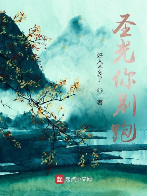 圣光你别跑
