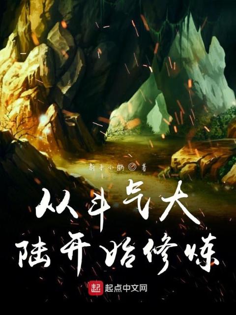 从斗气大陆开始修炼
