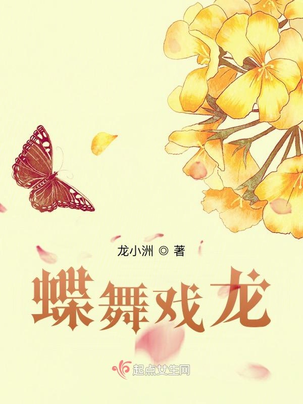 蝶舞戏龙